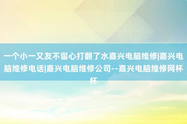 一个小一又友不留心打翻了水嘉兴电脑维修|嘉兴电脑维修电话|嘉兴电脑维修公司--嘉兴电脑维修网杯